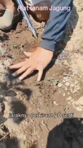 alat tanam jagung kacang tanah kedelai benih biji-bijian SIMPLE PLANTER