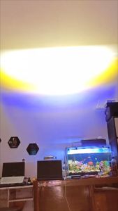 Biled Ala Ala Lampu Biled Projie Ala Ala 45Inch 40Watts Plus Demon Eye and Angel ORIGINAL SHIKATO