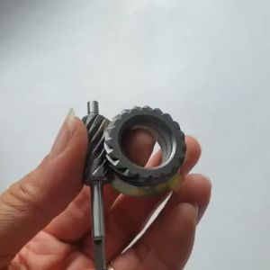 Sâu công tơ mét Dream Thái loại đẹp