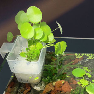 Aquarium Transparent Hydroponic Basket  Wall-Mounted Emergent Plant Stand - Household Cup for Aquatic Landscaping Decoration