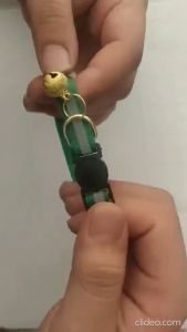 Kalung kucing lonceng glow in the dark menyala dalam gelap warna warni kalung kitten murah lonceng besar mewah gratis ongkir