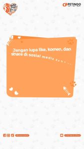 Chester Makanan Kucing Kering-Cat Food Dry