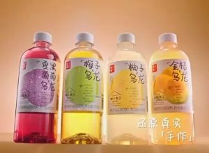 RIPE FRUIT [果子熟了] Summer Fruit Juice Oolong Tea Series (Yuzu Plum Black Grape) 果汁乌龙茶系列 487ml x 15 Bottles