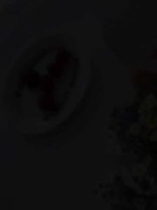 BAIFULING | Hoa Giả Trang Trí