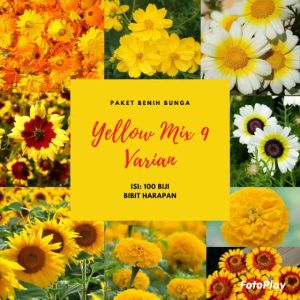 Benih Bibit Biji Bunga Yellow Mix 9 Varian Bibit Unggul