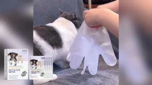 Disposable Pet Glove Wipes No-Rinse Dirt Bacteria Remove Deodorization Long Lasting Clean Daily Cat Dog Cleaning Grooming Gloves