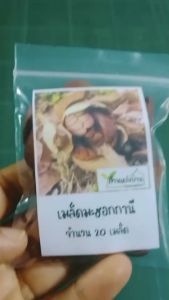 20 เมล็ด มะฮอกกานีใบใหญ่ เมล็ดมะฮอกกานี Dominican mahogany มะฮ็อกกานี เมล็ดมะฮอก มะฮอกกานี