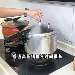 German 304 Stainless Steel High Pressure Cooker 100Kpa 4L/6L/8L/10L Household Thickened Explosion-Proof Variable Pressure Multi-Purpose Pressure Cooker