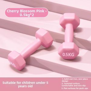 Home Fitness Iron Dumbbells 2kg