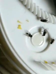 Electric Fly Trap USB Plug Automatic Fly Catcher Insect Killer Indoor Pest Control Device Insect Traps (V)