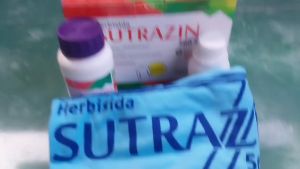 Bonus Kaos Herbisida Sutrazin 250ml Pembasmi Gulma Jagung Sutrazin 560SC 250ml + 100ml