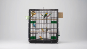GREENPETS Bird Cage Double Layer Breeding Cage Heightened Parrot Cage With Accessories Breeding Cage Kulungan ng Ibon Matibay at matibay