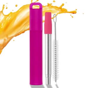 Stainless Steel Reusable Collapsible Straws with Silicone Tip & Case & Cleaning Brush Drinking Straw for Travel Picnic