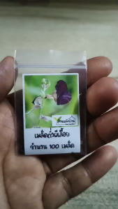 100 เมล็ด ถั่วผีเลื้อย เมล็ดถั่วผีเลื้อย ถั่วผี เมล็ดถั่วผี