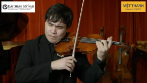 Đàn violin Andreas Eastman VL305