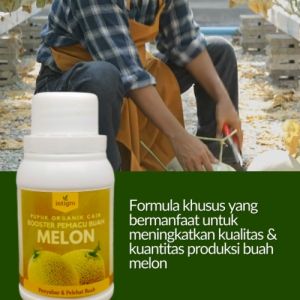 Pupuk Pembesar Pemanis Buah Melon / Pupuk Untuk Penyubur Perangsang Tanaman Melon Booster Buah Melon