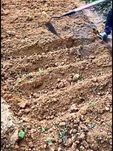 Multifunctional Triangle Hoe Manganese Steel for Ditching Loosening ​Soil Ridging Fertilizing