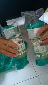 Anti Bird Protection Net Mesh Garden Plant Netting Protect Seedlings Flowers Fruit Trees Vegetables Rodents Reusable Fence