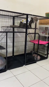 Greenpets Large Cat Cage Multi-Level Metal Cat Condo with Platforms Heavy Duty 3 Layer Indoor Pet Cage Sturdy Cat House Kulungan ng Pusa