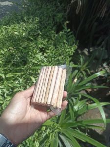 plikur dowel kayu 6mm 6x80mm pen paku kayu dowel sambung papan dan kunci purus bobok isi 50pcs murah ujung lancip 8cm