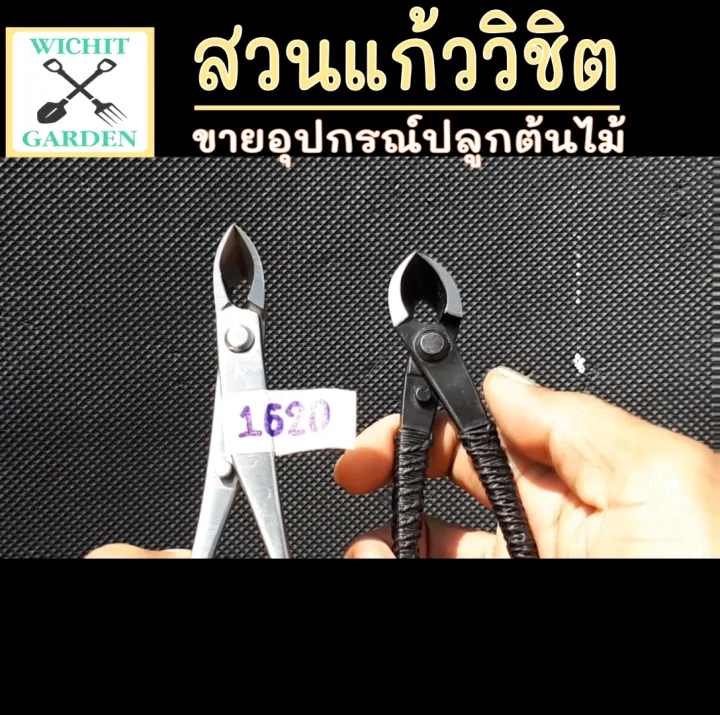 คีมตัดกิ่งบอนไซจิ๋ว คีมหัวปลาหลด สแตนเลส 7.2 นิ้ว