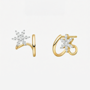 Elegant and Delicate Earrings