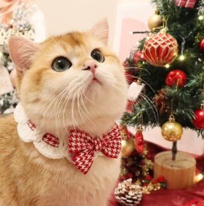 ปลอกคอสัตว์เลี้ยงน่ารักสำหรับแมวฉุดดอกไม้การ์ตูนสินค้าระฆังรูปกระต่ายสร้อยคอสุนัข