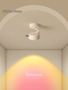Modern LED Ceiling Light