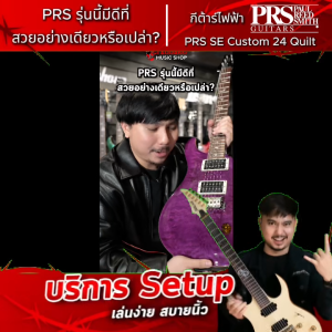 PRS SE Custom 24 Quilt กีต้าร์ไฟฟ้า PRS Electric Guitar - เต่าแดง