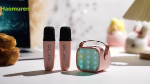 Haomuren K201 Bluetooth Speaker Microphone RGB Mini Portable Outdoor Wireless Karaoke Speaker Small USB TF AUX Blutooth Speaker
