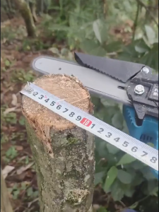 Japanese original cordless electric mini portable chainsaw 6-inch 36V handheld pruning shears chainsaw electric woodworking cutting pruning saw rechargeable lithium battery chain saw