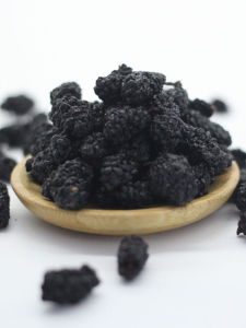 Wild Black Mulberry Tea 500g Selected Dried Mulberry Ready to Drink No Wash No Sand Mulberry Snack from Sichuan Province