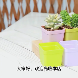 7PCS Plants Flowerpot Mini Colorful Square Plastic Pots with Tray Garden Home Decor Mini Planters for Cactus Succulents