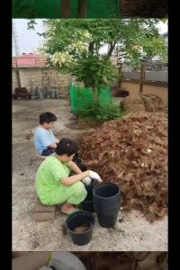 ไลบรารีดินปลูกออร์แกนิค ม.เกษตรฯ กำแพงแสน 2 กระสอบสูตรฟื้นฟู ธรรมชาติและสร้างสมดุลสิ่งแวดล้อม ราคาเสริมสูง โรงผักสองตี 100% การทำ