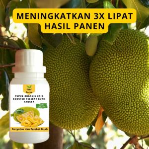 Pupuk Nangka Cepat Berbuah / Pupuk Pelebat Buah Nangka / Pupuk Booster Nangka Cair