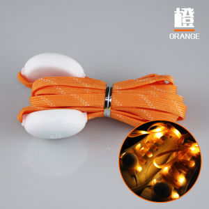 LED Luminous Lace Flash Fluorescent Flashing Luminous Night Running Shoes with Creative Gifts Skating Cheer Stage Performance