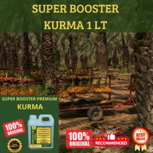 Pupuk Kurma 1 LT Supaya Cepat Berbuah Pupuk Kurma Supaya Subur Berbuah Pupuk Kurma Cepat Besar