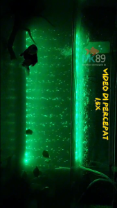 Lampu LED Celup Aquarium YMN P30 – 12 LED 25cm Dengan Gelembung Udara & Airstone Warna-Warni