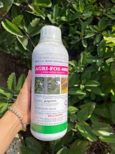Nứt thân xì mủ  [Hàng chuẩn DONA]AGRI-PHOS (PHOSPHONATE) 400SL chai 1lít Hàng chuẩn DONA Xuất xứ Úc