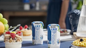 安慕希原味酸奶200g 10盒 AMBROSIAL Greek Yoghurt 10 x 205g