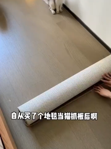 Cat Scratcher Mat Simulated Sisal Durable Anti-scratch Pad Carpet Sofa Protector Mat Cat Sleeping Bed Mat Pencakar Kucing猫抓垫