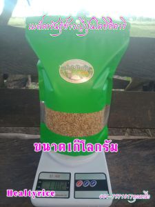 เมล็ดพันธุ์ข้าวญี่ปุ่นโคชิฮิคาริ เมล็ดพันธุ์แท้ 100% คัดสรรอย่างดี ปลูกง่าย ผลต่อโลกสูง เป็นพืชเศรษฐกิจใหม่มาแรง เป็นที่นิยมอันดับ 1 ของญี่ปุ่น จังหวัดชิซู โอกะ ปลูกง่ายขายได้กำไรงาม กระแสมาแรง คุ้มสุดคุ้ม