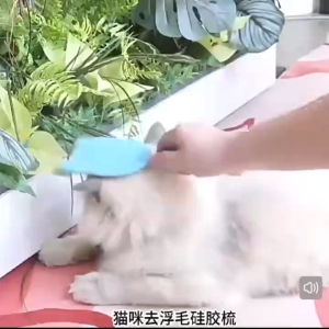 Cat Tongue Comb Cat Brush Cat Grooming Cat Hair Brush Cat Tongue Brush