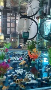 JOE PH Up Adjustment Liquid