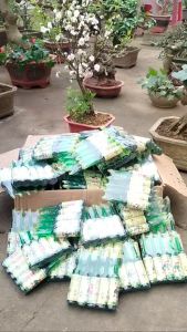 Dung dịch thuỷ canh kích thích thích ra rễ nội địa Trung chai 38ml ( Chai Xanh - 1 Chai )