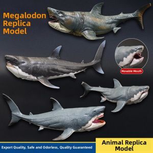 Mô Hình Cá Mập Megalodon Thật Sống Động
