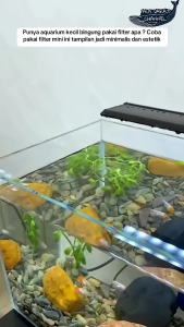 Internal Filter Aquarium ARMADA AM 1000L