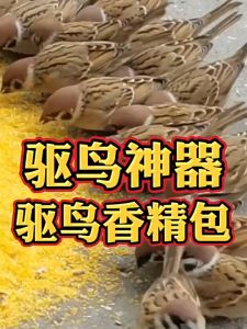 Bird Repellent Bag Repellant for Home 30PCS From Japan Bat Repellant