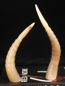 Natural Buffalo Horn Decorative Piece Home Office Desktop Wealth Attractor Creative Craft Gift Living Room Animal Style Art