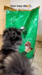 1kg Aozi Organic Lamb Apple Aozi Dog All Stages Adult Puppy Pet Dry Food No Artificial Additives